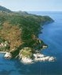 Copo Sant'Andrea (scogliera delle cotepiane)